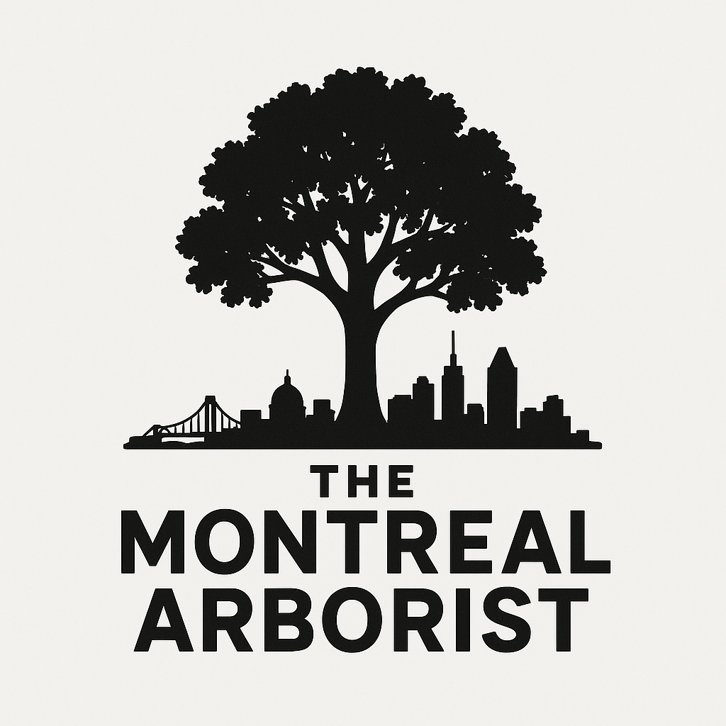 The Montreal Arborist logo